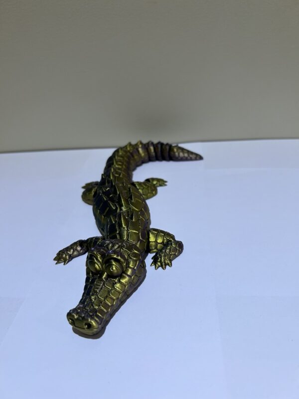 Lankstus krokodilas - Image 7